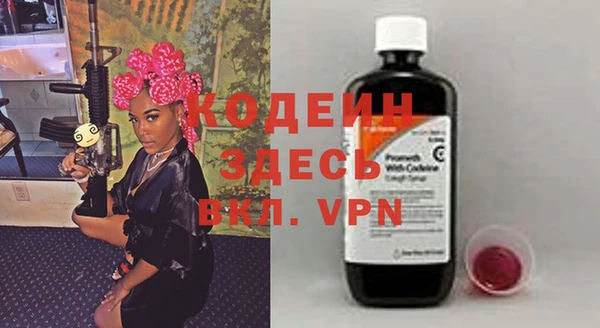 дмт Осташков