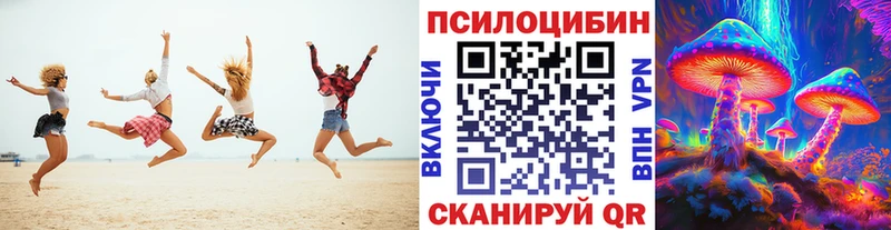 MEGA   Сегежа  Галлюциногенные грибы мухоморы 